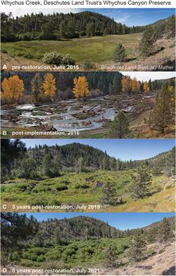 Rehabilitating Valley Floors to a Stage 0 Condition: A Synthesis of Opening Outcomes